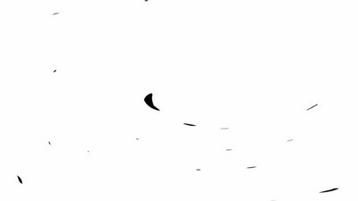 Блондинки, Большой член, Камшот, Негры, Групповое, Крупным планом, Оральный, Глубокий минет, Минет, Много спермы,